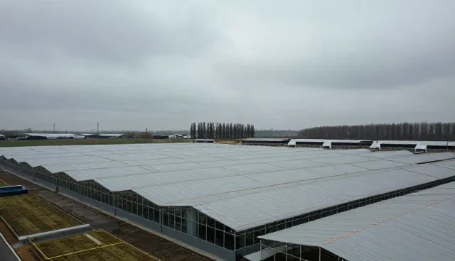系统集成：云服务器部署方案涵盖技术分析
